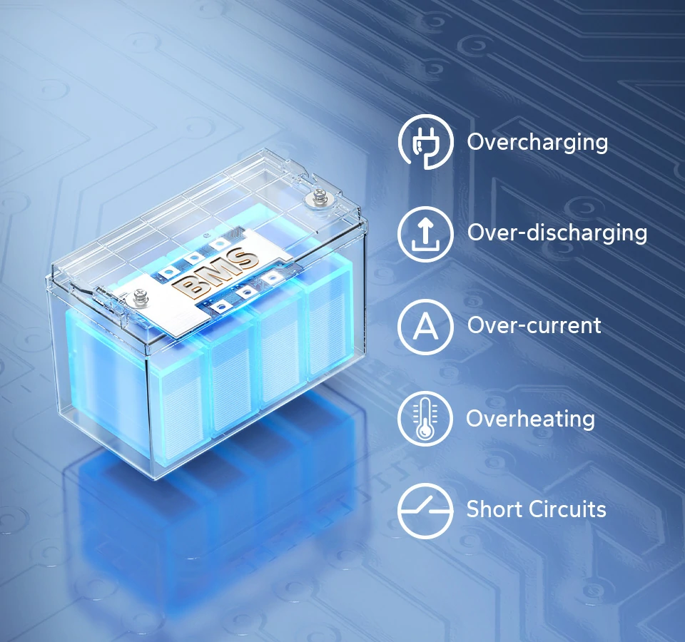 battery management system information of litime lithium batteries