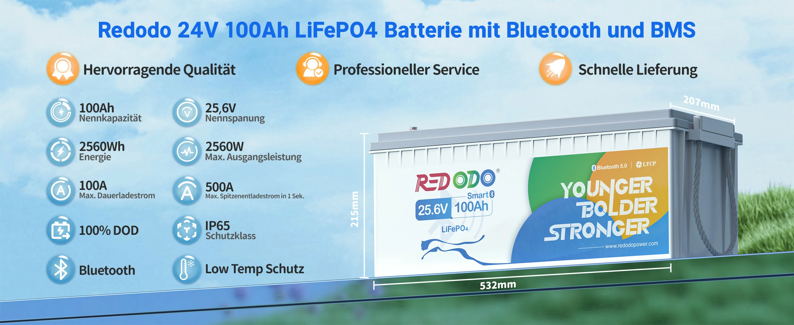Redodo-LiFePO4-24V-100Ah-Solarbatterie-mit-Bluetooth-Parameter