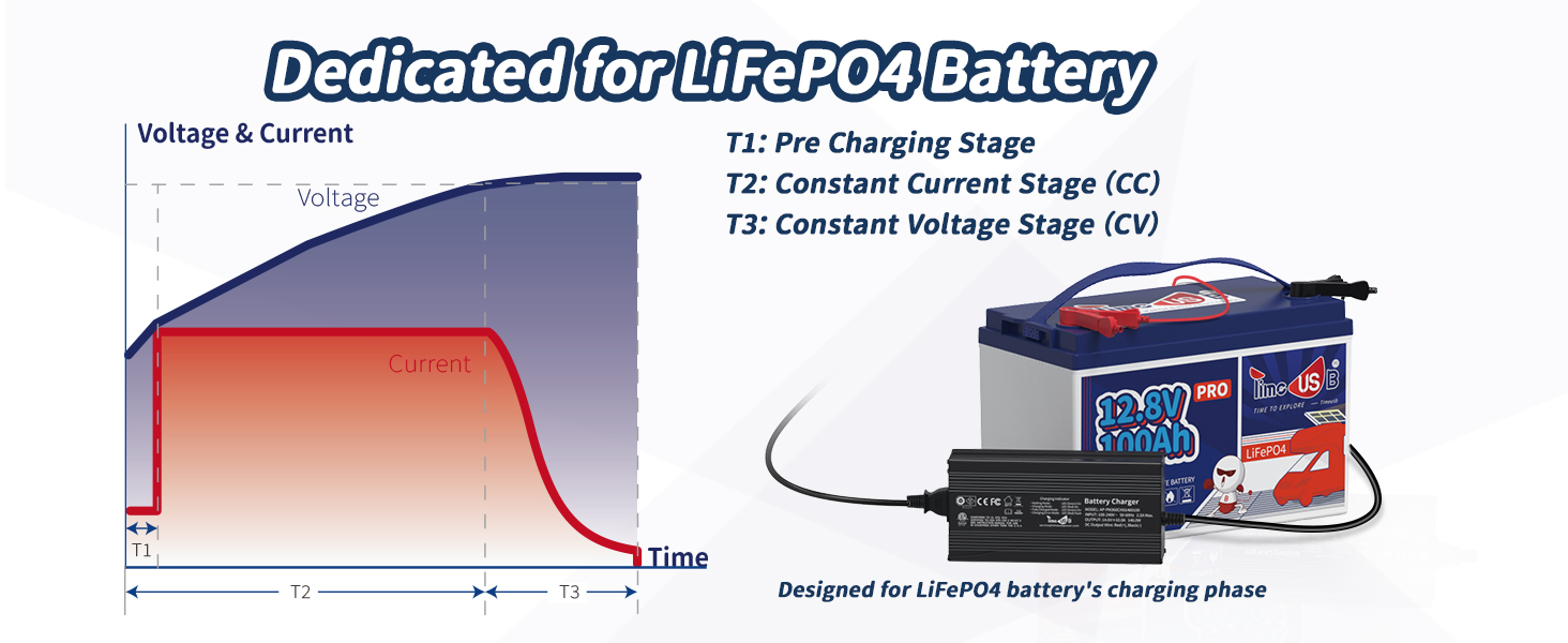 Dedicated for LiFepo4 Battery with smart battery charger
