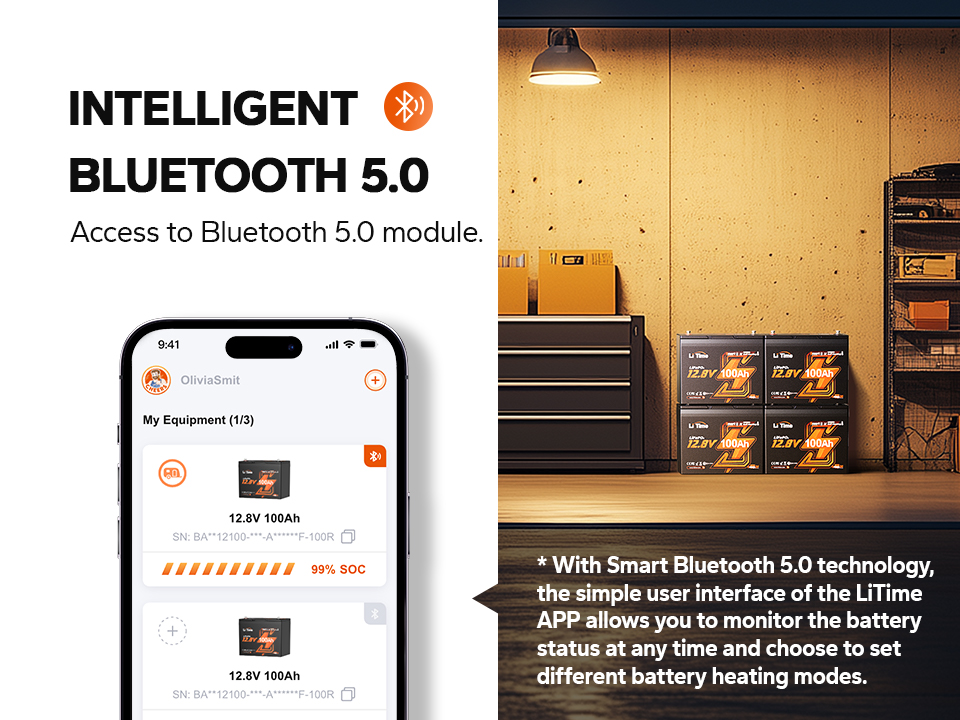 bluetooth function of litime 12v 100ah group 24 battery with self-heating and low temp protection