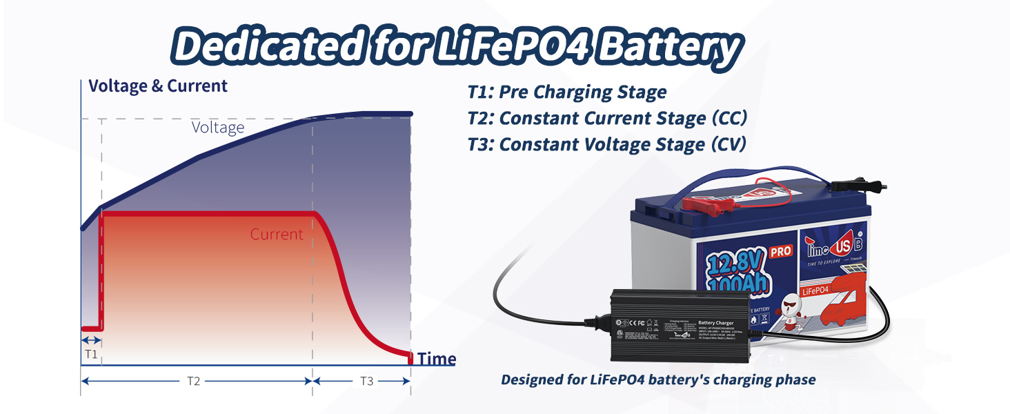 Dedicated for LiFepo4 battery with smart battery charger