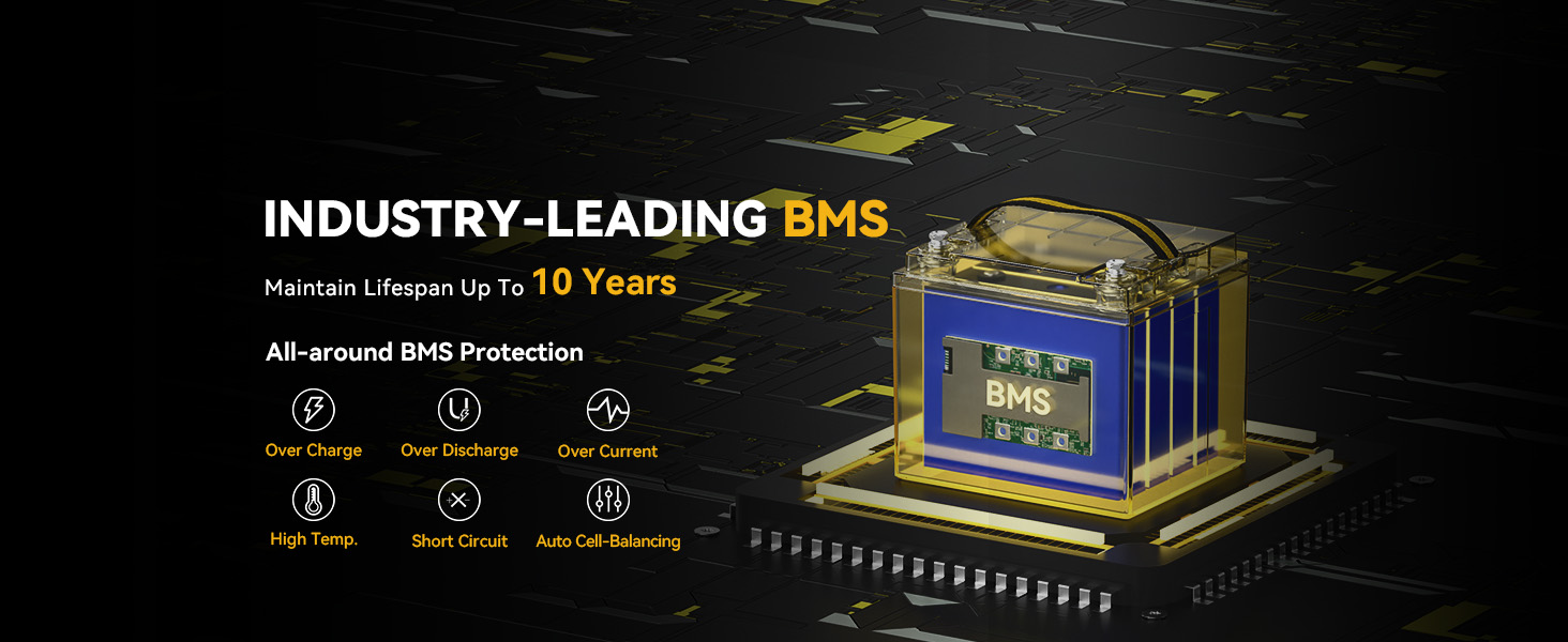 industry-leading BMS