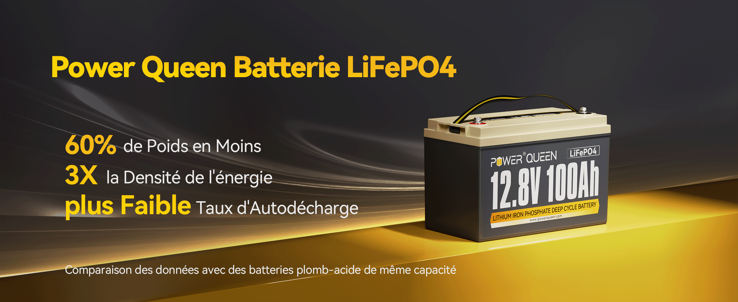 Poids Léger et Grande Énergie, Batterie LFP 12V 100Ah