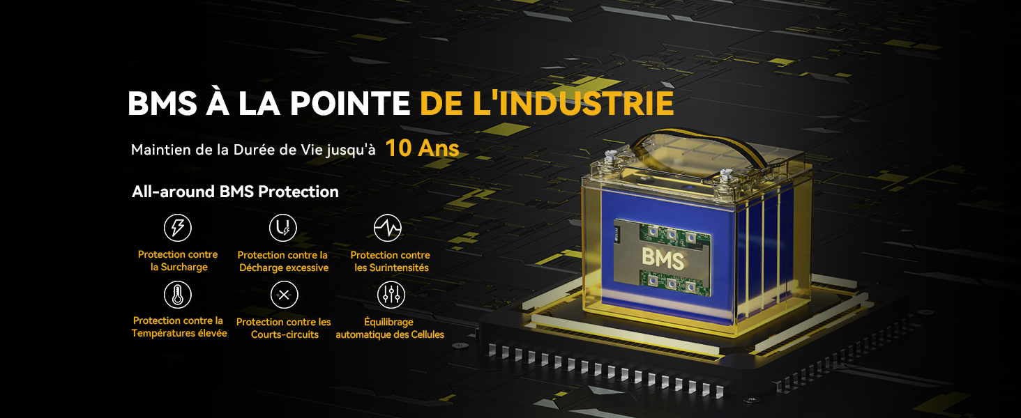 BMS ave Protection Multiple, Batterie Durable et Verte 12V 50Ah