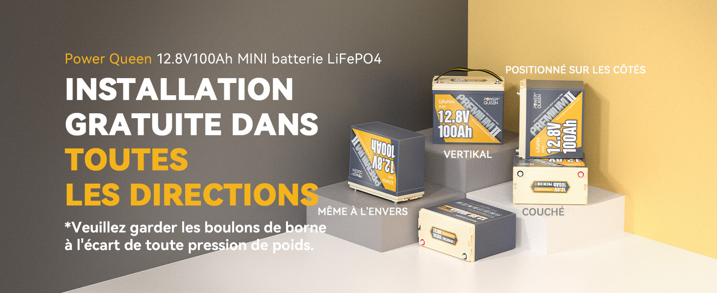 Batterie LiFePO4 12V 100Ah Mini avec BMS 100A