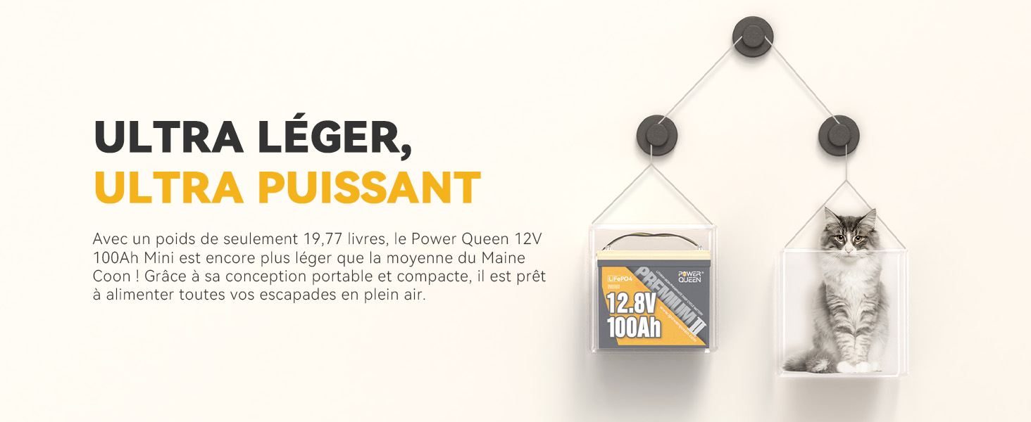 Léger mais Puissant, Batterie LiFePO4 12V 100Ah Mini 