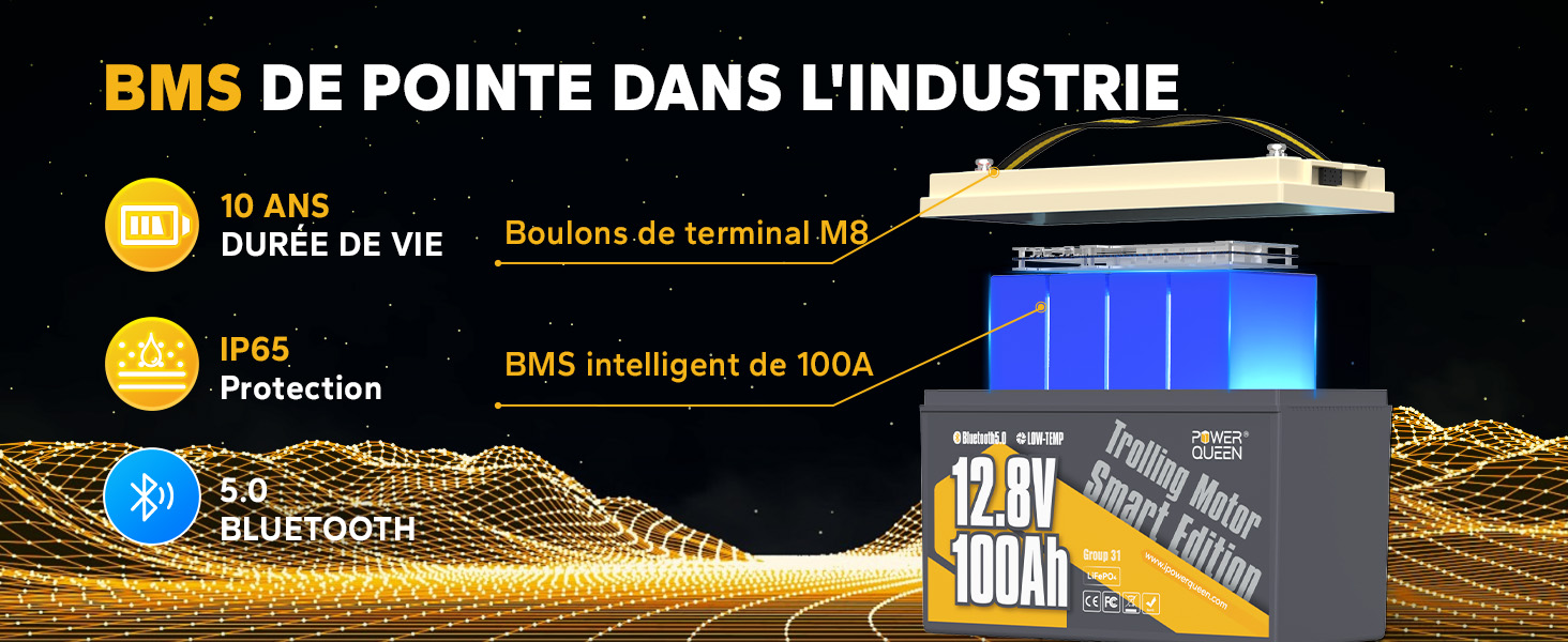 BMS Avancé 100A et Longue Durée de Vie, Batterie LiFePO4 12V 100Ah