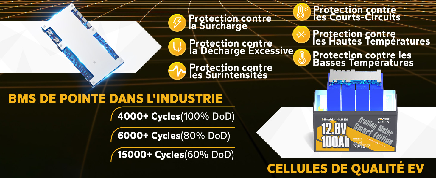 Mult-Protection, Profondeur de Décharge Longue, Batterie LiFePO4 12V 100Ah Low-Temp