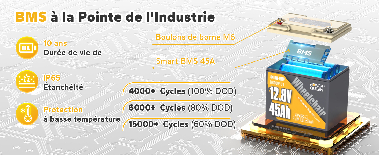 BMS 45A, Longue Durée de Vie, Batterie LiFePO4 12V 45Ah Group U1 pour Scotters