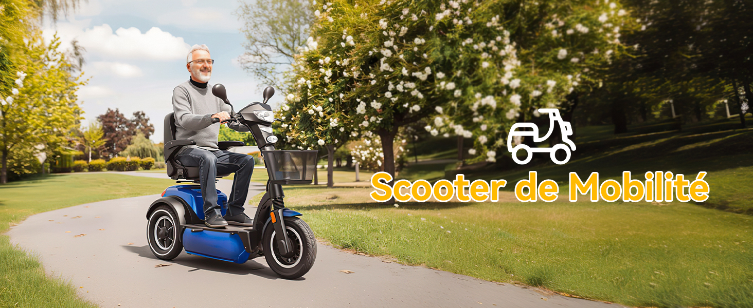 Pour Scooter Électrique de Mobilité, Batterie au Lithium 12V 45Ah Group U1 