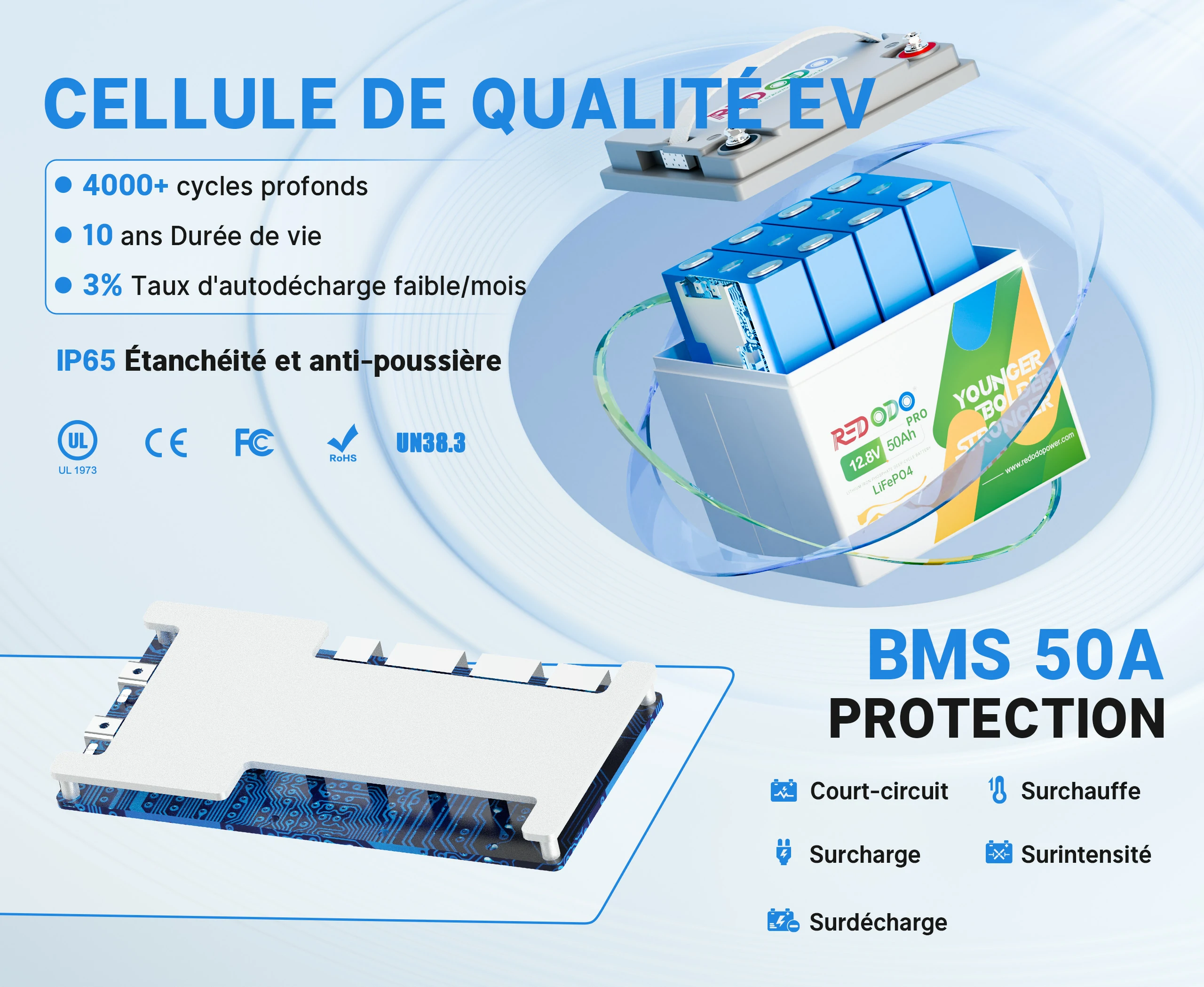 12V 50Ah Pro Batterie LiFePO4 Cycles Profonds BMS Protections
