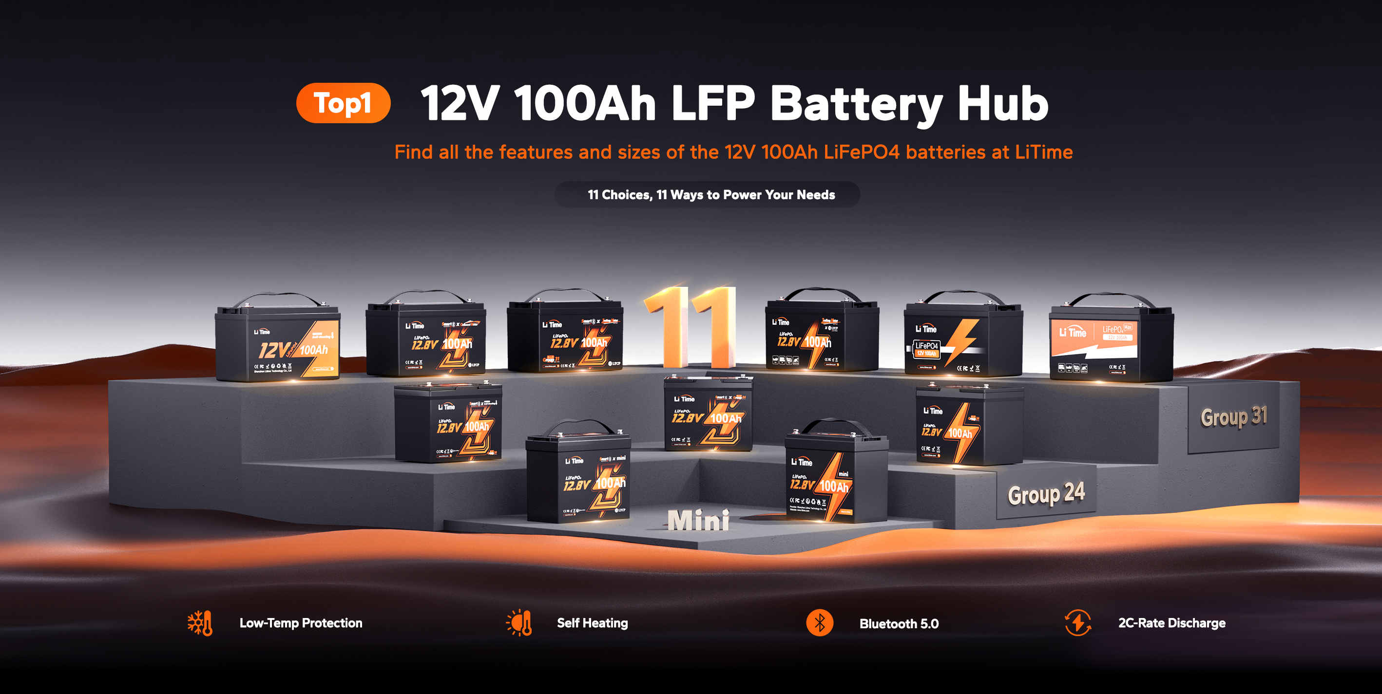 LiTime 12V 100Ah batteries