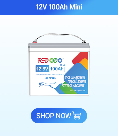 Redodo 12V 100Ah LiFePO4 Battery, Group 24 Rechargeable Lithium Deep Cycle RV Battery, Up to 15000 Cycles, Perfect for RV, Camping, Solar Panel, Off Grid, Kayak Trolling Motor