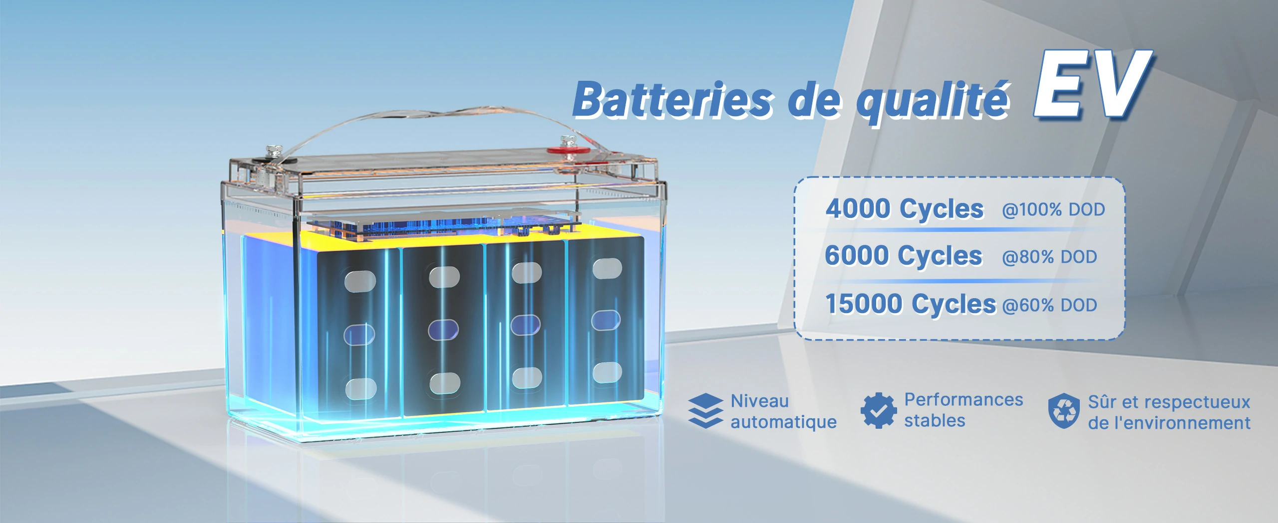 12V 100Ah Chauffage Batterie LiFePO4 de Qualité EV