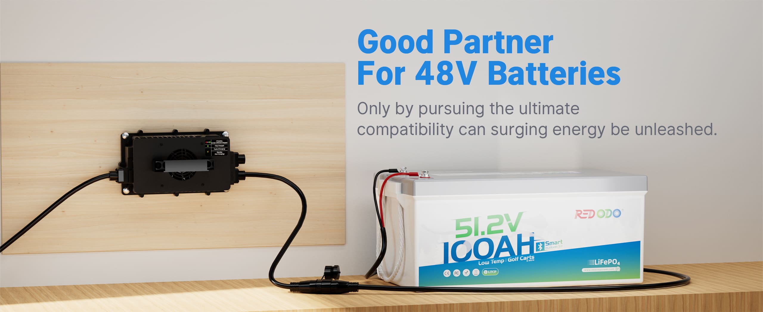 Redodo 58.4V 18A LiFePO4 Battery Charger for 48V (51.2V) Lithium Batteries