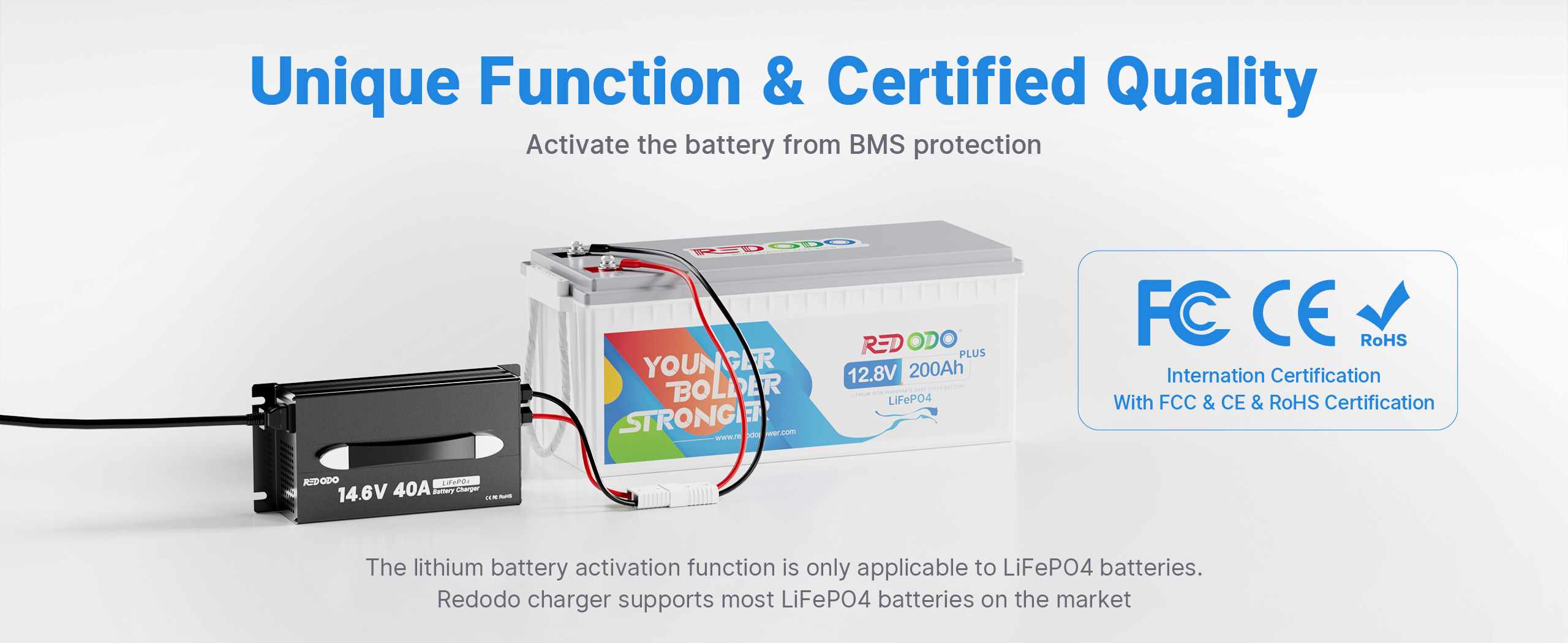 LiFePO4 dedicated battery charger