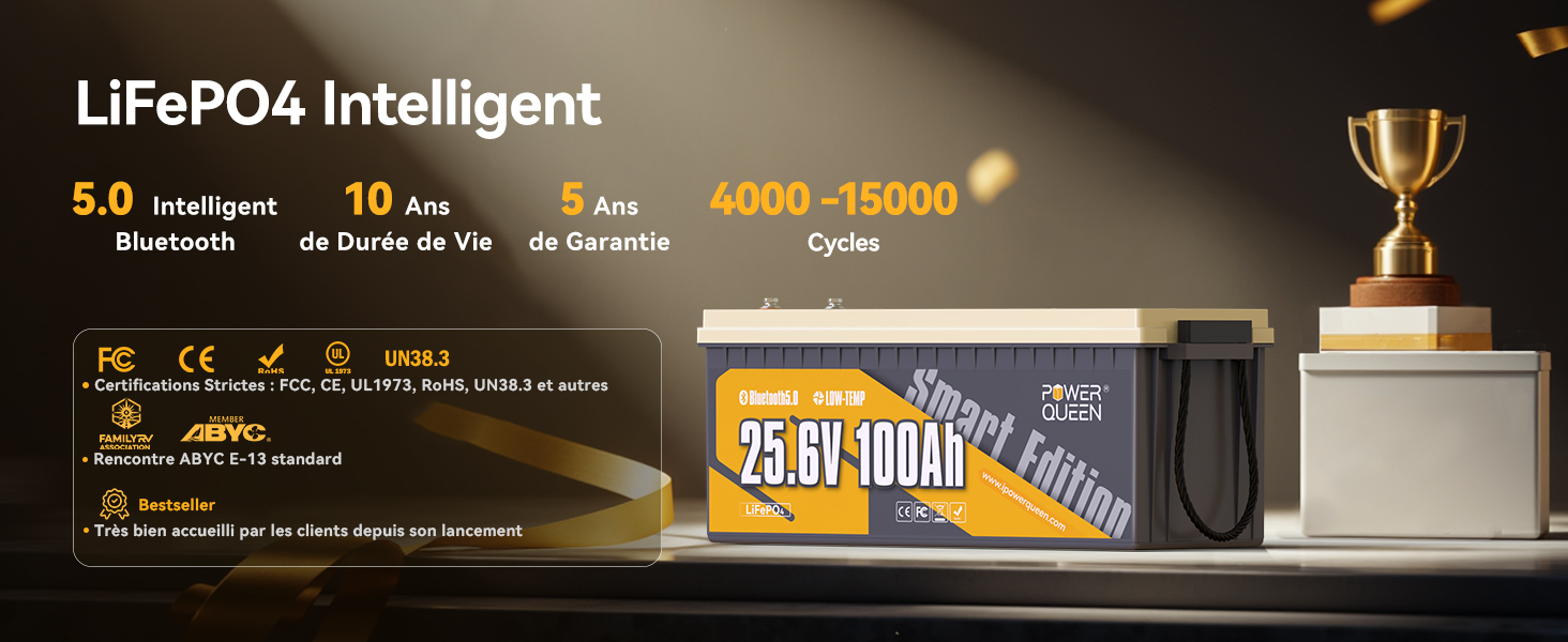 Batterie LiFePO4 24V 100Ah de Power Queen avec Bluetooth, batterie lithium fer phosphate