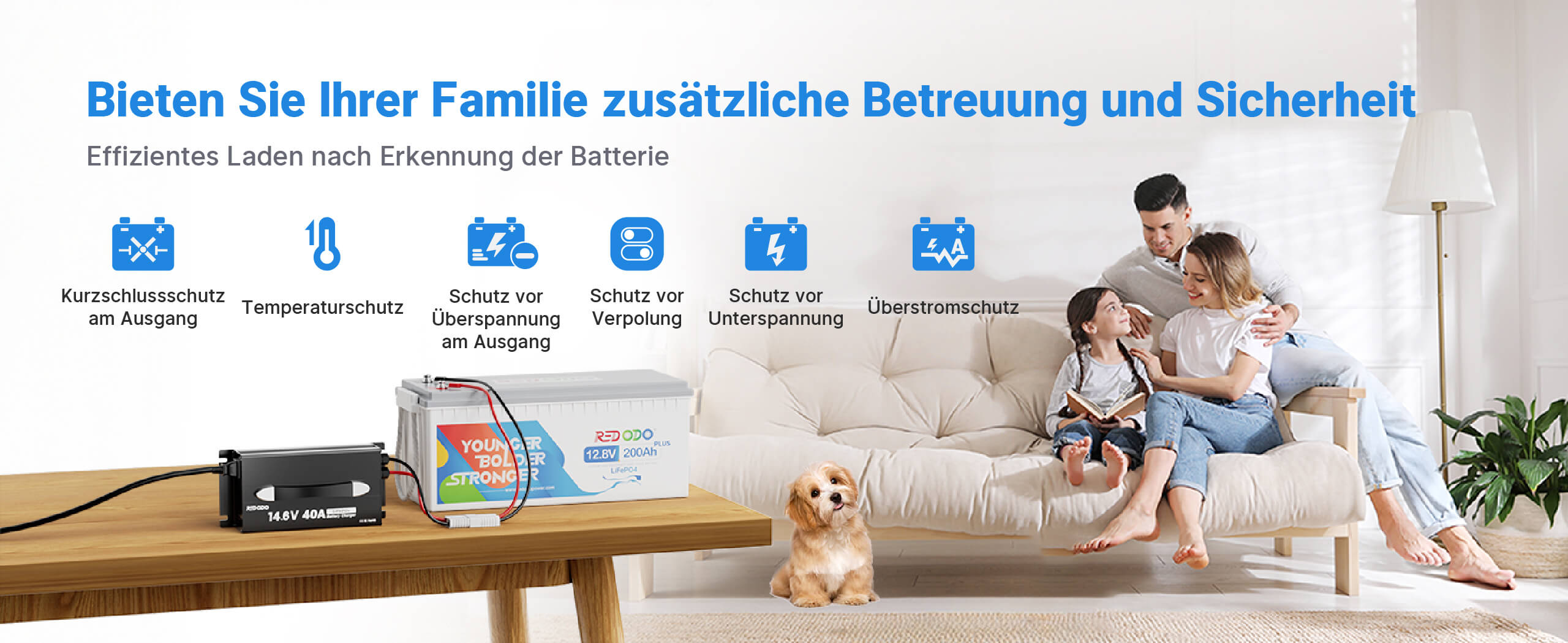 12V 40A LiFePO4 Batterieladegerät