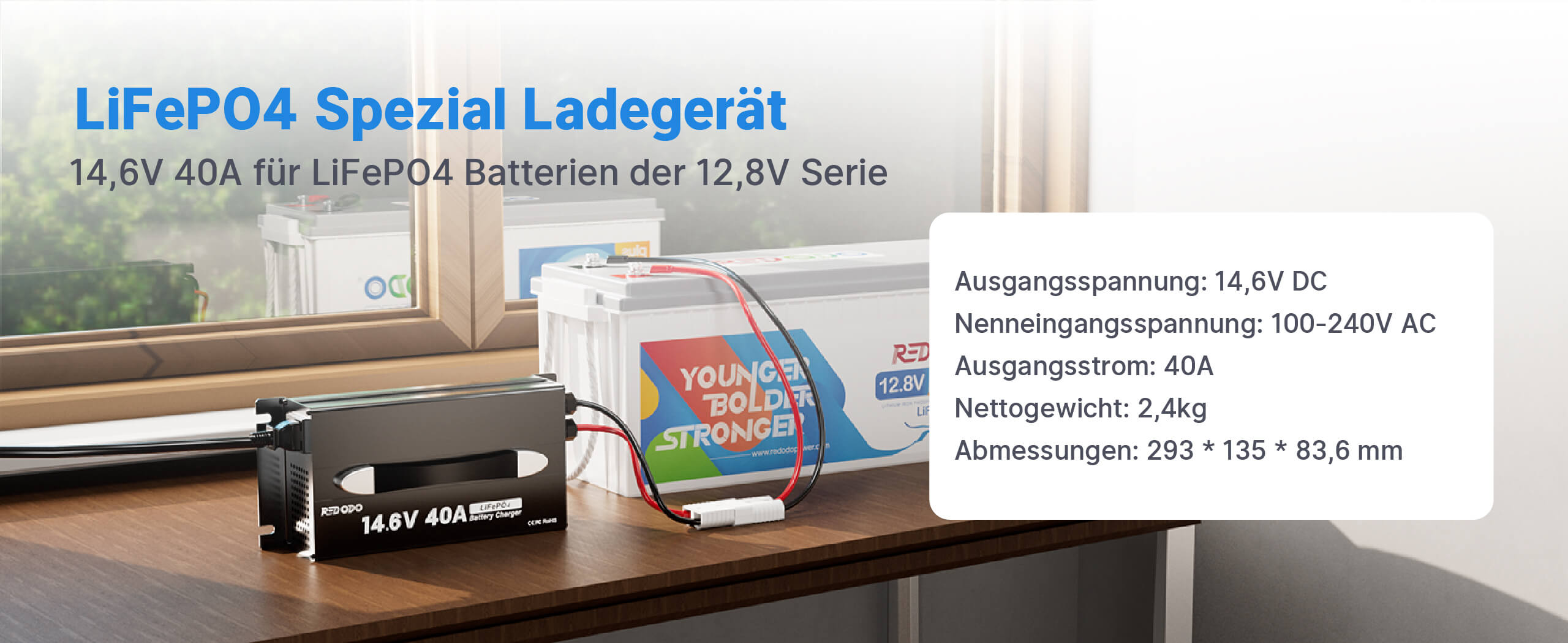 LiFePO4 Spezial Ladegerät