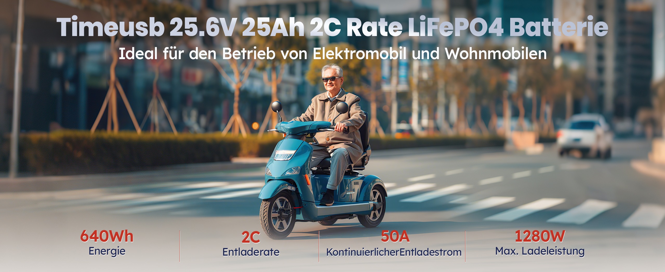 Timeusb LiFePO4 24V 25Ah Lithium Batterie