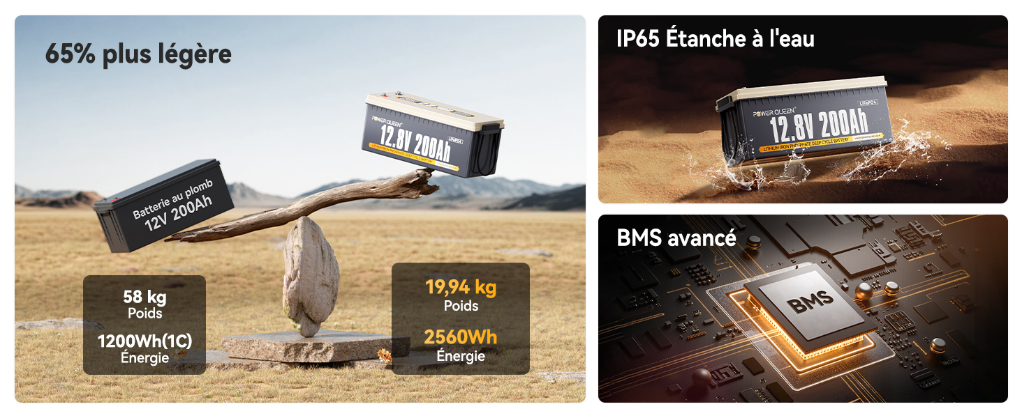 batterie lifepo4 12v 200ah, bms 100A