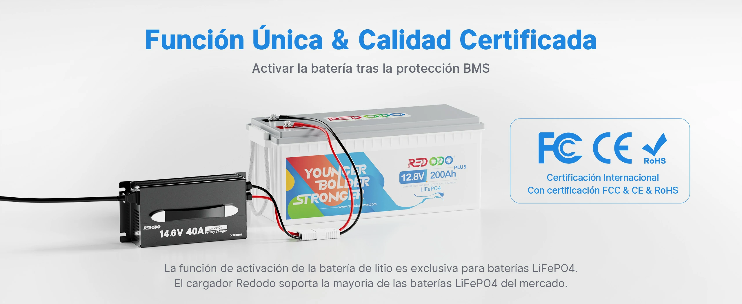 Redodo Cargador LiFePO4 14.6V 40A Update - Funcion Única y Calidad Certificada