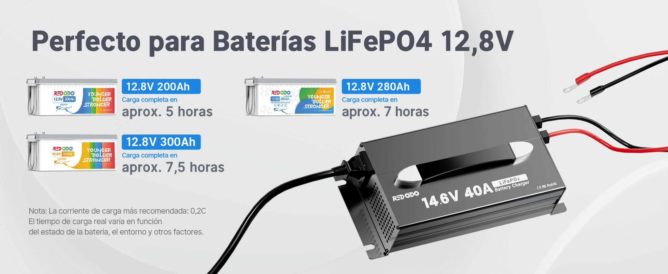 Redodo Cargador LiFePO4 14.6V 40A Update - Perfecto para Baterías LiFePO4 12.8V