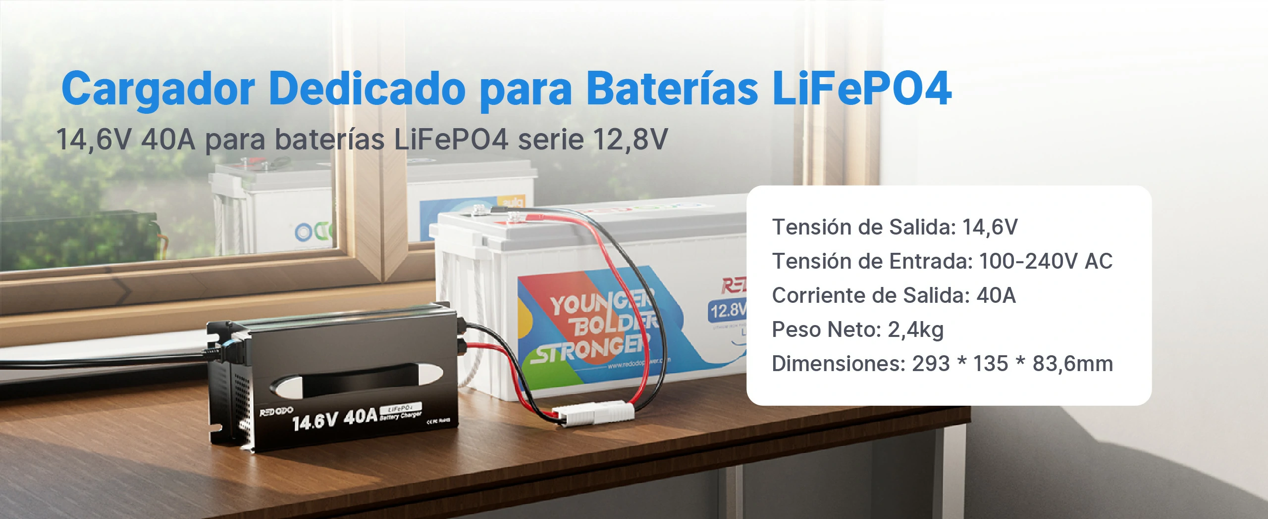 Redodo Cargador LiFePO4 14.6V 40A Update - Cargador Dedicado para Baterías LiFrPO4