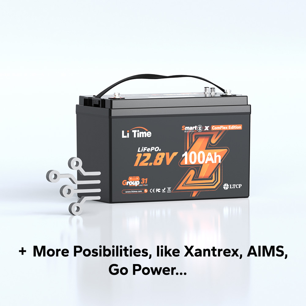 litime 12v 100ah lithium battery with ota update for more compatibilities
