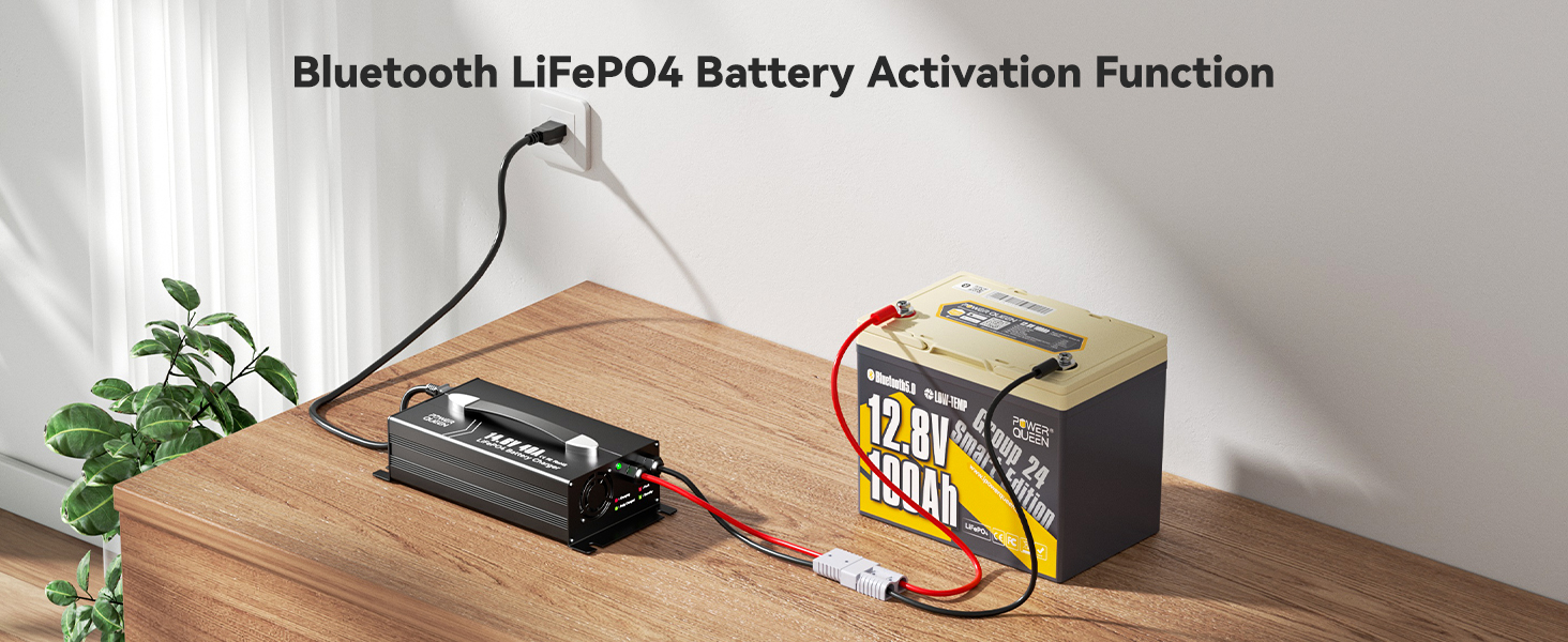 Power Queen 14.6V 40A LiFePO4 Battery Charger with Bluetooth Battery Activation Function