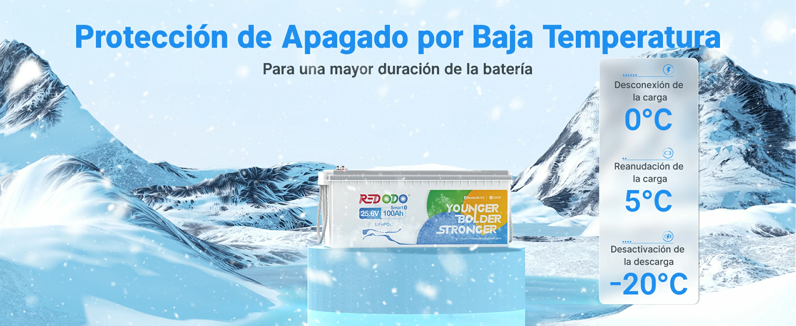 Redodo BaterÍa de Litio 24V 100Ah con Bluetooth LiFePO4 - Protección de Apagado por Baja Temperatura