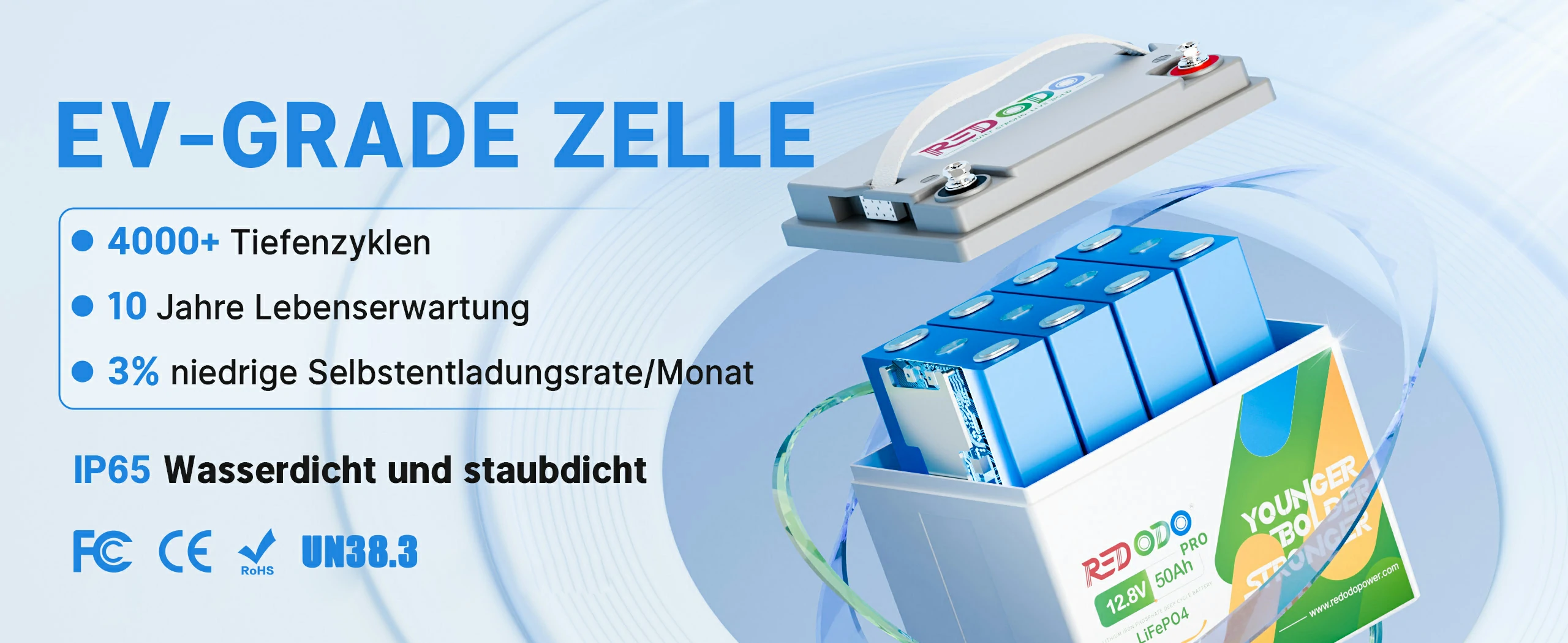 12V 50Ah Pro LiFePO4 Batterie EV Klasse Zellen