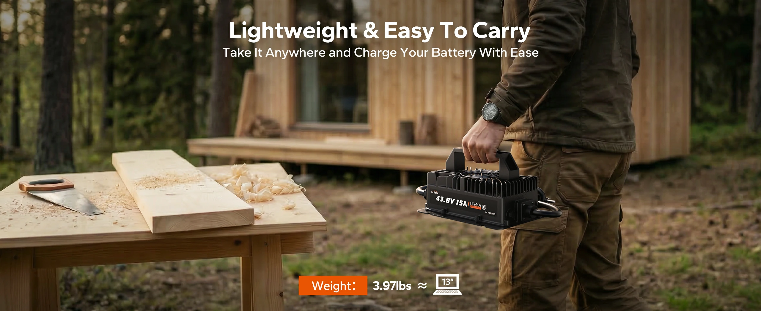 easy to carry litime 36v 15a lithium battery charger
