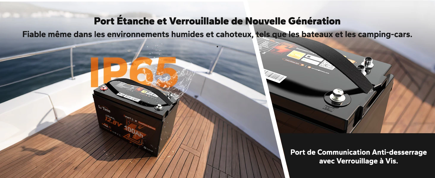 Litime Batterie Lifepo4 12V 100A Smart Comflex Protection IP65