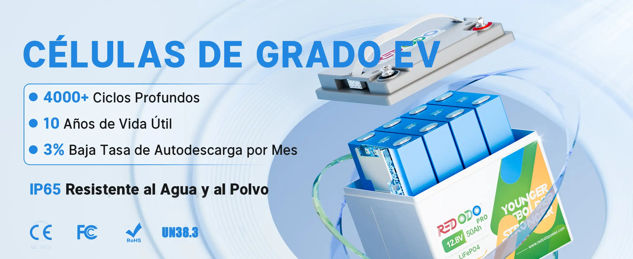 Redodo Batería LiFePO4 12V 50Ah Pro Células de Grado EV