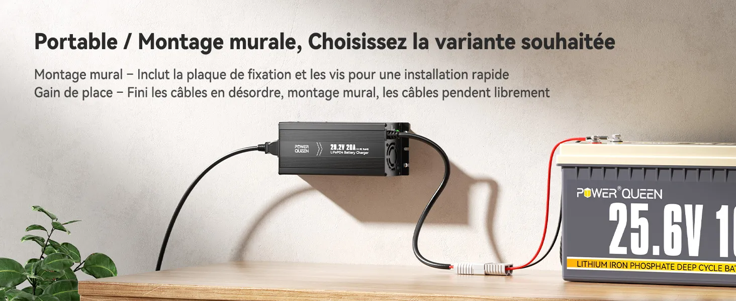 Chargeur LiFePO4 29,2V 20A