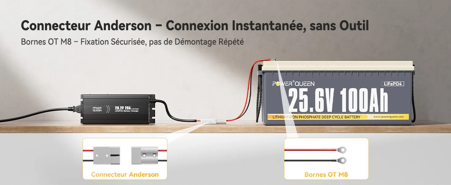 Afficheur LED, Chargeur LiFePO4 29,2V 20A