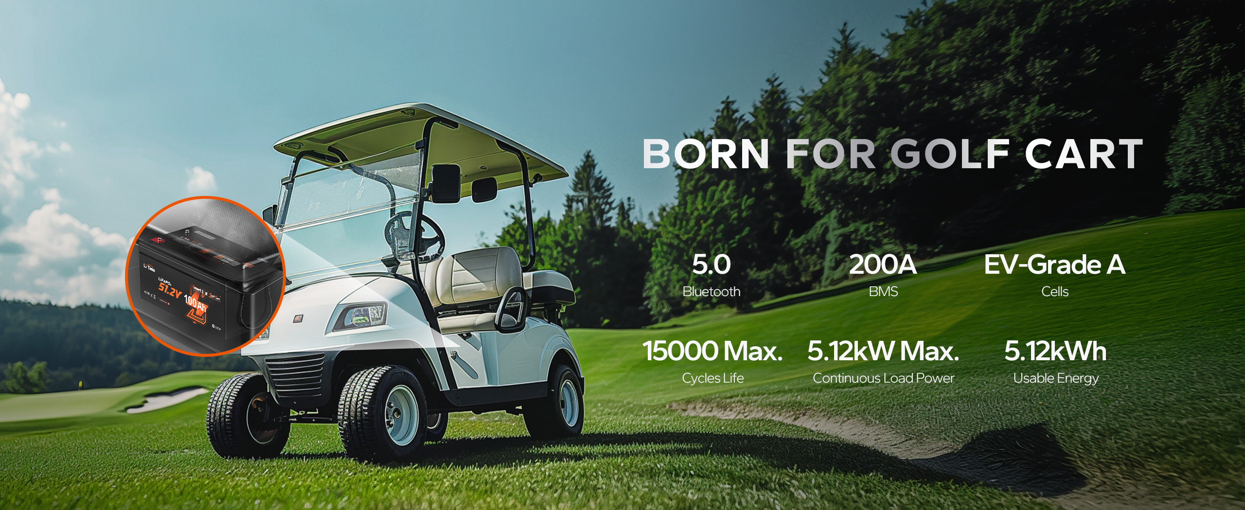 LiTime 48V 100Ah Golf Cart Bluetooth Lithium Battery