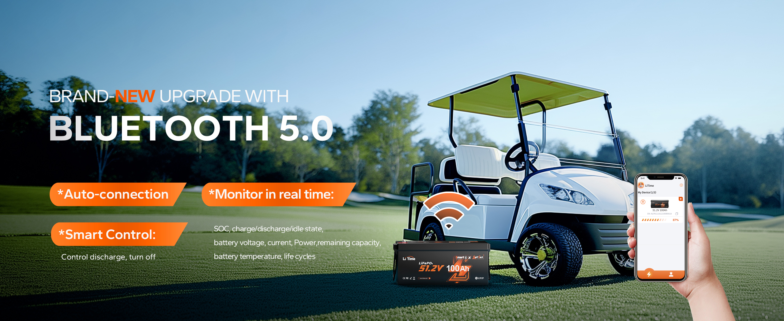 LiTime 48V 100Ah Golf Cart Bluetooth Lithium Battery